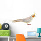 Pet Cockatiel Wall Decal