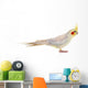 Pet Cockatiel Wall Decal