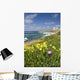 La Jolla coast line near San Diego, California Wall Decal