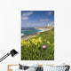 La Jolla coast line near San Diego, California Wall Decal