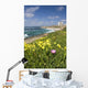 La Jolla coast line near San Diego, California Wall Decal