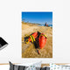 Lifeguard rescue cans (buoys), San Diego beach Wall Decal