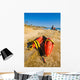Lifeguard rescue cans (buoys), San Diego beach Wall Decal
