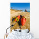Lifeguard rescue cans (buoys), San Diego beach Wall Decal