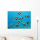 shoal of exotic fishes bannerfishes above the coral reef Wall Decal