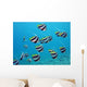 shoal of exotic fishes bannerfishes above the coral reef Wall Decal