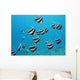 shoal of exotic fishes bannerfishes above the coral reef Wall Decal