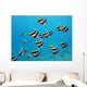 shoal of exotic fishes bannerfishes above the coral reef Wall Decal