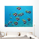 shoal of exotic fishes bannerfishes above the coral reef Wall Decal
