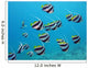 shoal of exotic fishes bannerfishes above the coral reef Wall Decal
