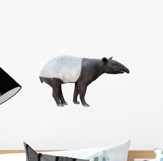Malayan tapir Wall Decal