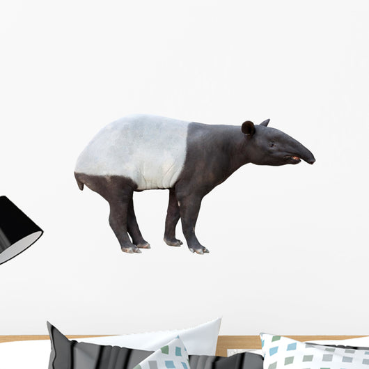 Malayan tapir Wall Decal