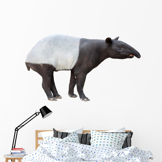 Malayan tapir Wall Decal
