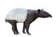 Malayan tapir Wall Decal