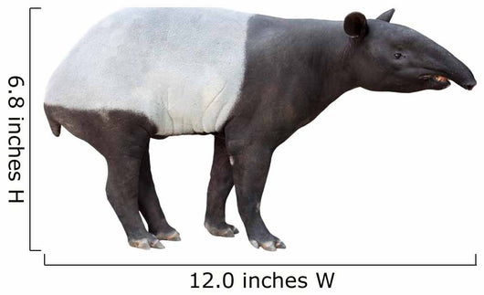 Malayan tapir Wall Decal