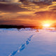 Patway on snow to sunset Wall Decal
