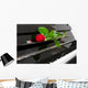 Rose und Klavier Wall Decal