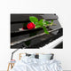 Rose und Klavier Wall Decal