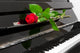 Rose und Klavier Wall Decal