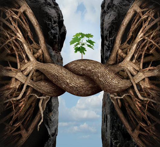Unity Growth Concept Wall Decal