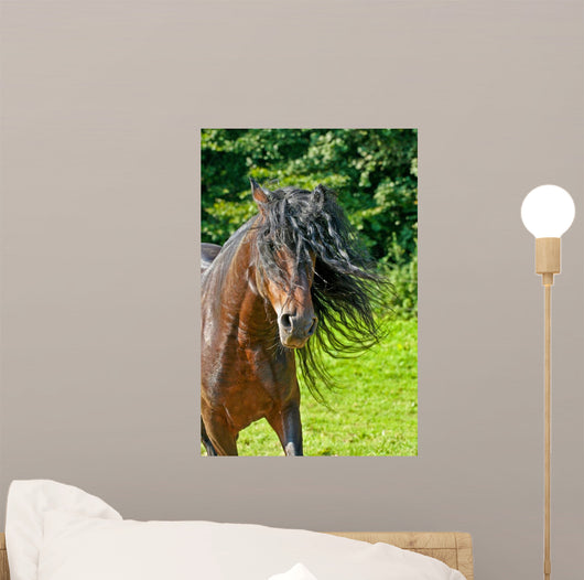 Wilde Mhne Wall Decal