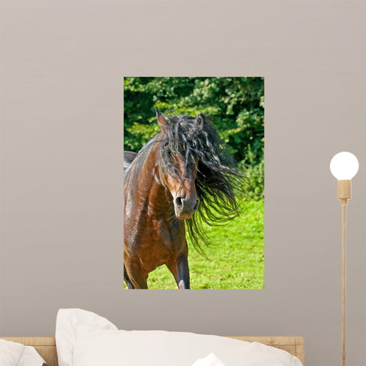 Wilde Mhne Wall Decal