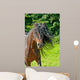 Wilde Mhne Wall Decal