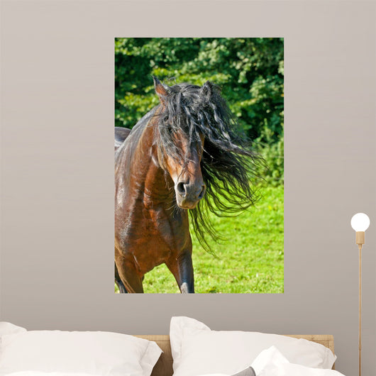 Wilde Mhne Wall Decal