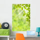 Spring Leaves Wall Mural
