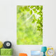 Spring Leaves Wall Mural