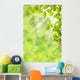 Spring Leaves Wall Mural