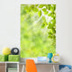 Spring Leaves Wall Mural