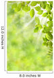 Spring Leaves Wall Mural