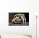 Saber tooth tiger skull Wall Mural