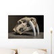 Saber tooth tiger skull Wall Mural