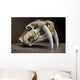 Saber tooth tiger skull Wall Mural
