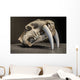 Saber tooth tiger skull Wall Mural