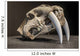 Saber tooth tiger skull Wall Mural