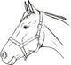 Horse In Halter Wall Decal
