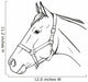 Horse in halter Wall Decal