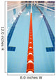 Olympic Swimming Pool Wall Mural
