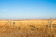 Prairie Blessing Wall Decal