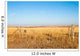 Prairie Blessing Wall Mural