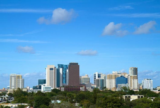 Beautiful Skyline Downtown Fort Wall Decal