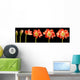 Amaryllis Flower Series Wall Mural