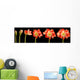 Amaryllis Flower Series Wall Mural