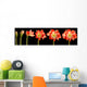 Amaryllis Flower Series Wall Mural