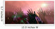 Audience Hands And Lights At Concert Wall Mural