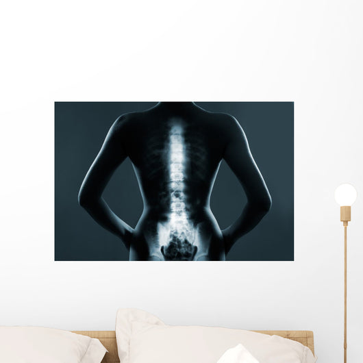 Human backbone in x-ray Wall Mural
