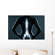 Human backbone in x-ray Wall Mural